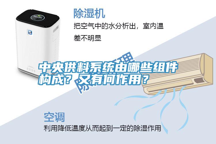 中央供料系統(tǒng)由哪些組件構(gòu)成？又有何作用？