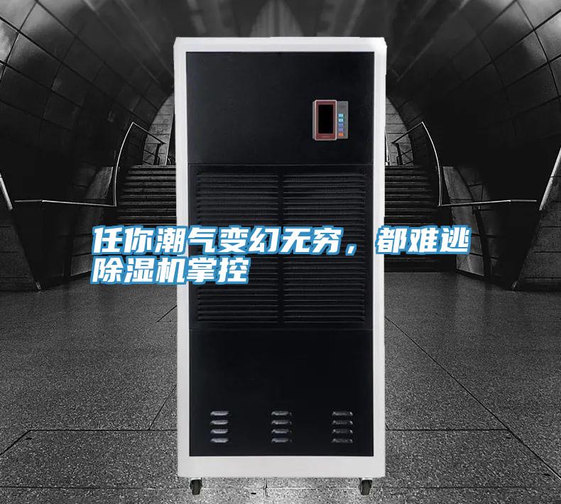任你潮氣變幻無(wú)窮，都難逃除濕機(jī)掌控