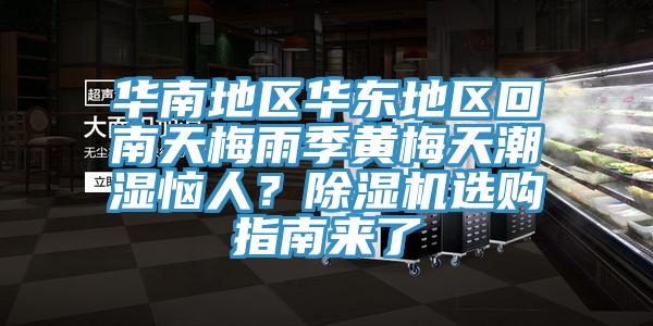 華南地區華東地區回南天梅雨季黃梅天潮濕惱人？除濕機選購指南來了