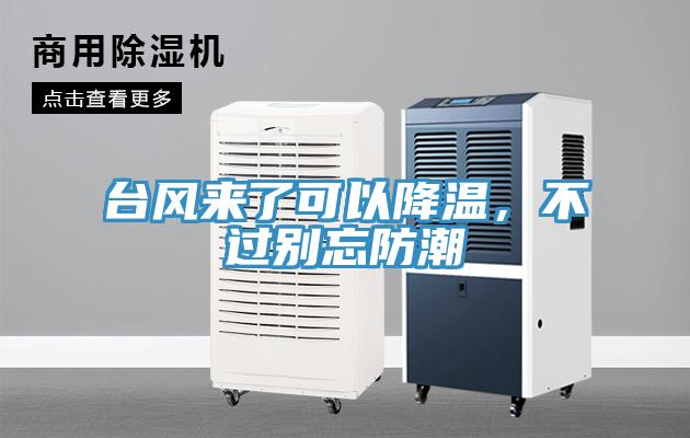 臺風來了可以降溫，不過別忘防潮