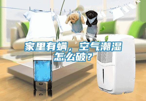 家里有螨,空氣潮濕怎么破?