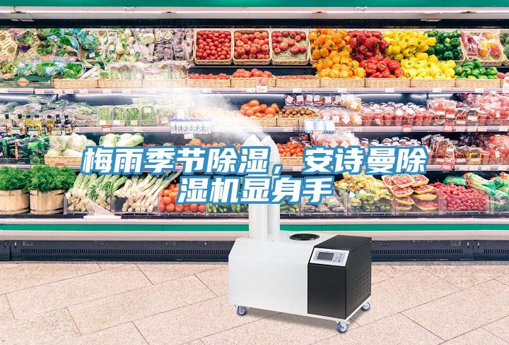 梅雨季節除濕，安詩曼除濕機顯身手