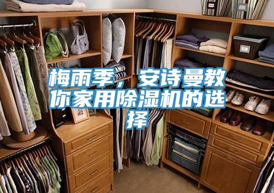 梅雨季，安詩曼教你家用除濕機的選擇