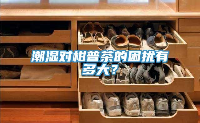 潮濕對(duì)柑普茶的困擾有多大？
