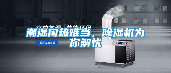 潮濕悶熱難當，除濕機為你解憂
