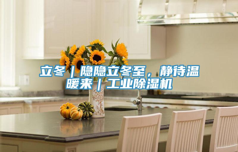立冬｜隱隱立冬至，靜待溫暖來｜工業(yè)除濕機(jī)