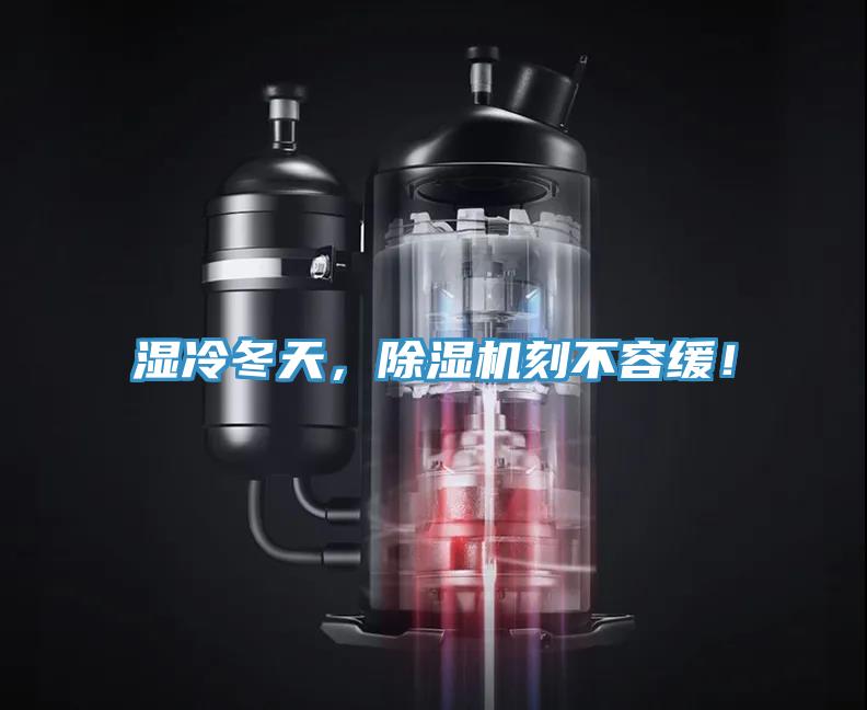 濕冷冬天，除濕機刻不容緩！