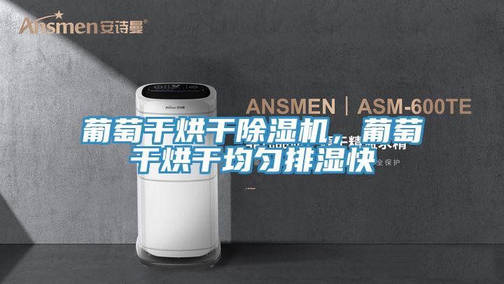 葡萄干烘干除濕機，葡萄干烘干均勻排濕快