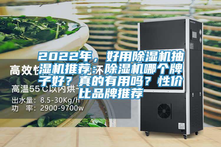 2022年，好用除濕機抽濕機推薦：除濕機哪個牌子好？真的有用嗎？性價比品牌推薦