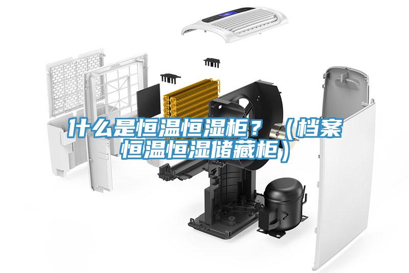什么是恒溫恒濕柜？（檔案恒溫恒濕儲藏柜）
