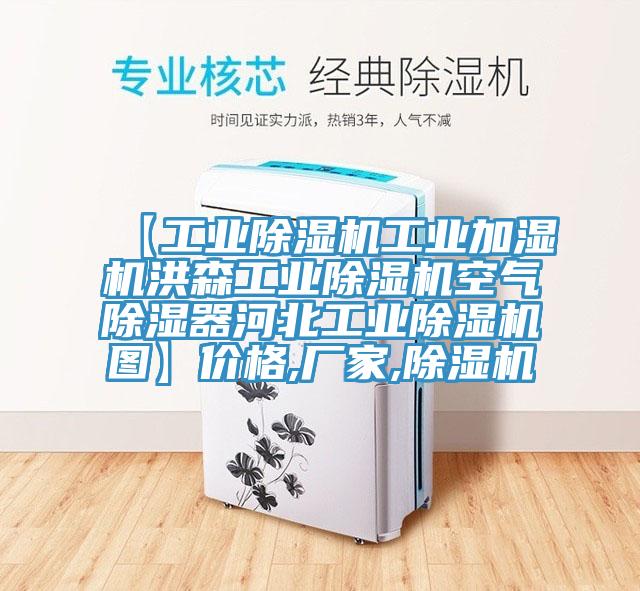 【工業(yè)除濕機工業(yè)加濕機洪森工業(yè)除濕機空氣除濕器河北工業(yè)除濕機圖】價格,廠家,除濕機