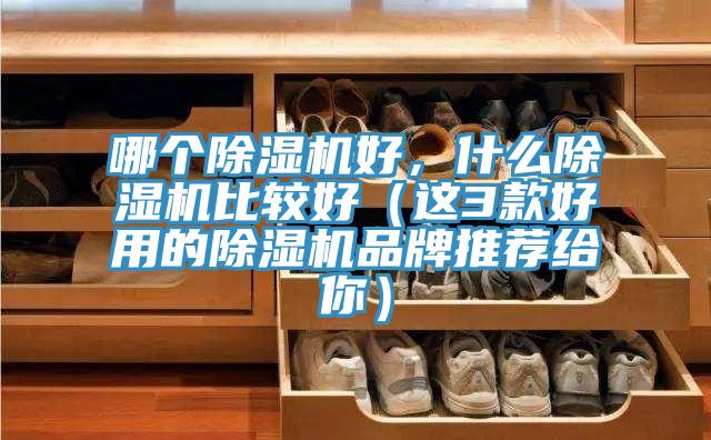 哪個除濕機(jī)好，什么除濕機(jī)比較好（這3款好用的除濕機(jī)品牌推薦給你）