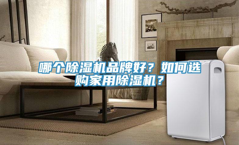 哪個除濕機品牌好？如何選購家用除濕機？
