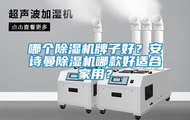 哪個除濕機牌子好？安詩曼除濕機哪款好適合家用？
