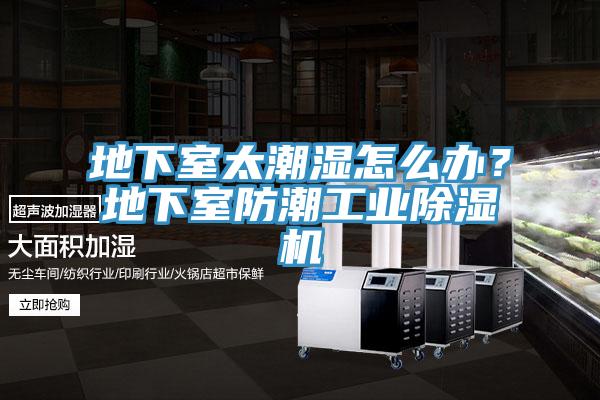 地下室太潮濕怎么辦？地下室防潮工業(yè)除濕機(jī)