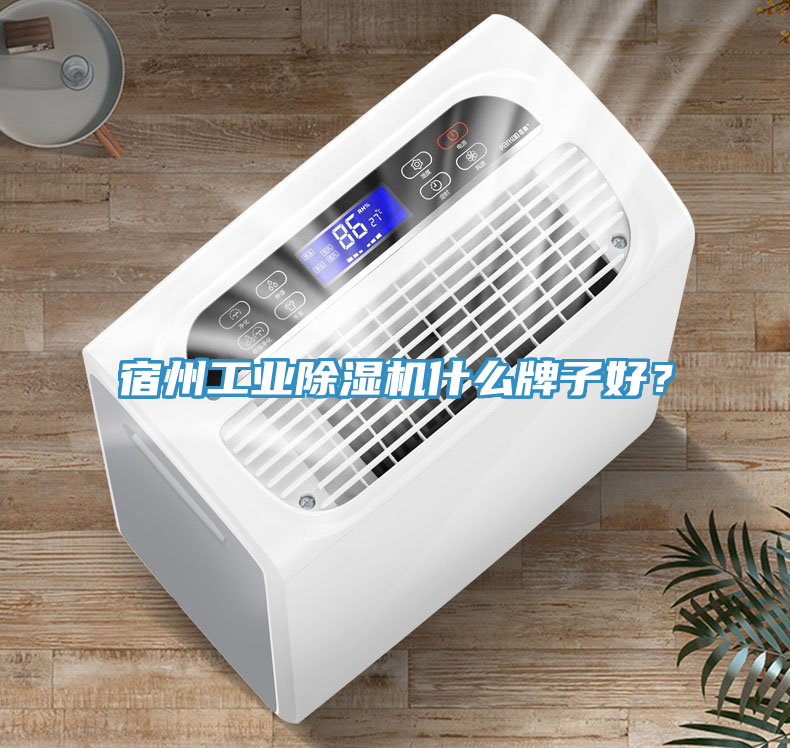 宿州工業除濕機什么牌子好？