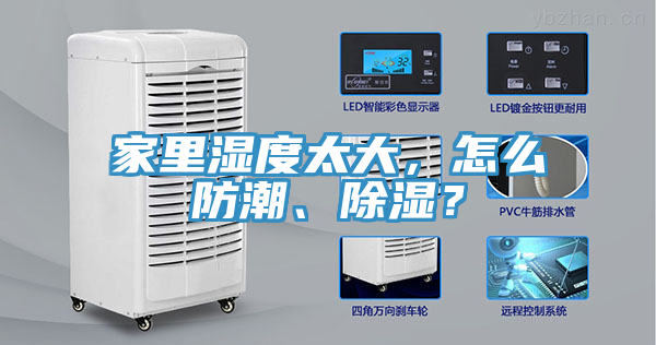家里濕度太大，怎么防潮、除濕？