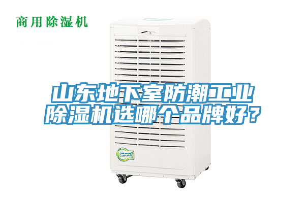 山東地下室防潮工業(yè)除濕機(jī)選哪個(gè)品牌好？
