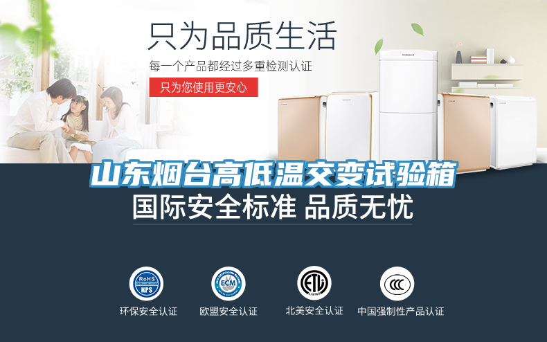 山東煙臺高低溫交變試驗(yàn)箱