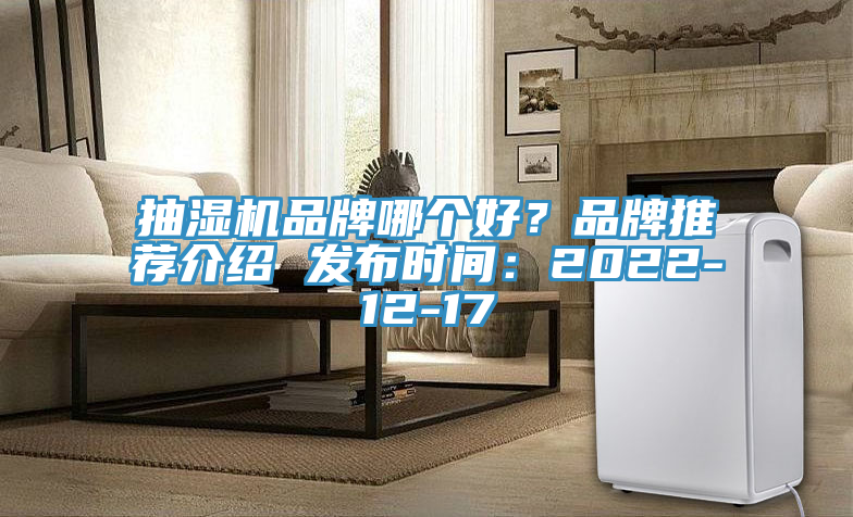 抽濕機品牌哪個好？品牌推薦介紹 發布時間：2022-12-17