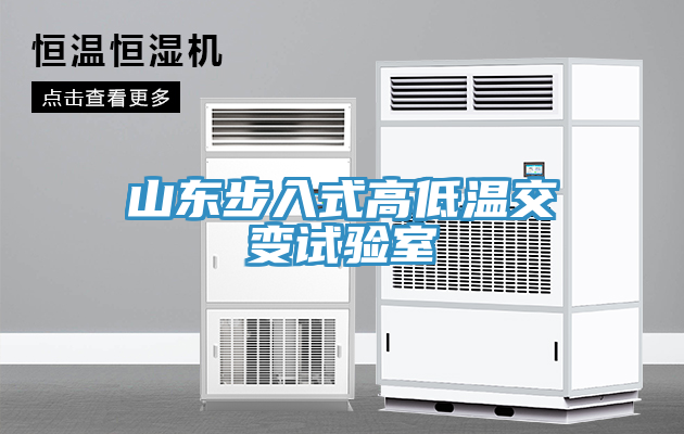 山東步入式高低溫交變試驗(yàn)室