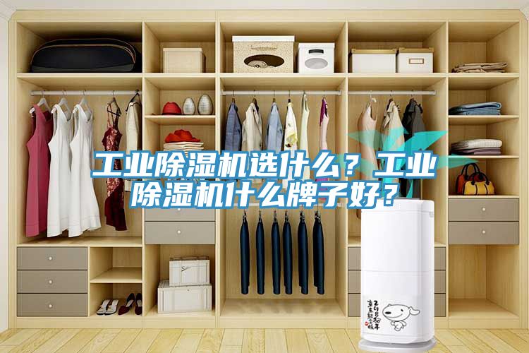 工業(yè)除濕機(jī)選什么？工業(yè)除濕機(jī)什么牌子好？
