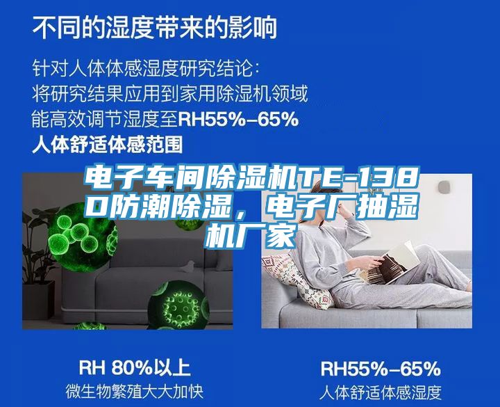 電子車間除濕機TE-138D防潮除濕，電子廠抽濕機廠家