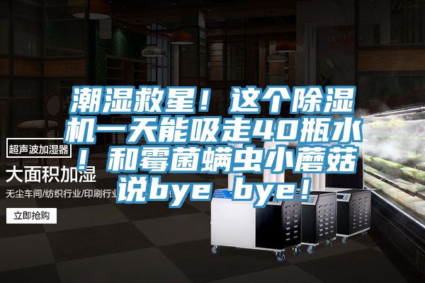 潮濕救星！這個除濕機一天能吸走40瓶水！和霉菌螨蟲小蘑菇說bye bye！
