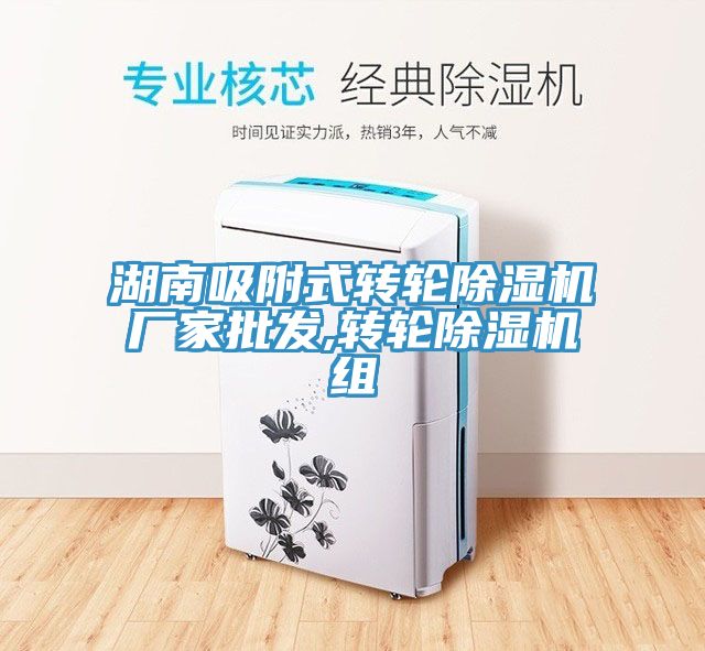 湖南吸附式轉(zhuǎn)輪除濕機廠家批發(fā),轉(zhuǎn)輪除濕機組