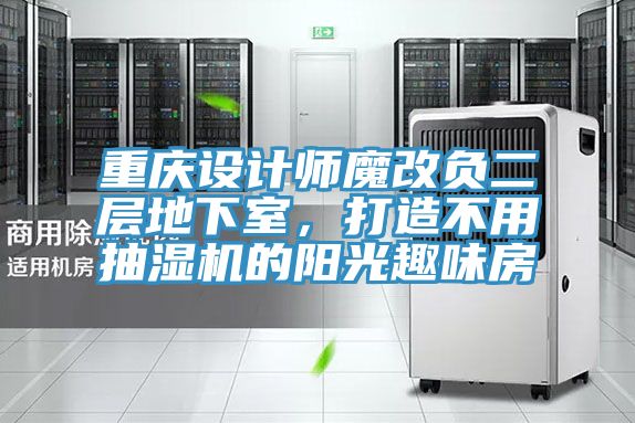 重慶設(shè)計師魔改負二層地下室，打造不用抽濕機的陽光趣味房