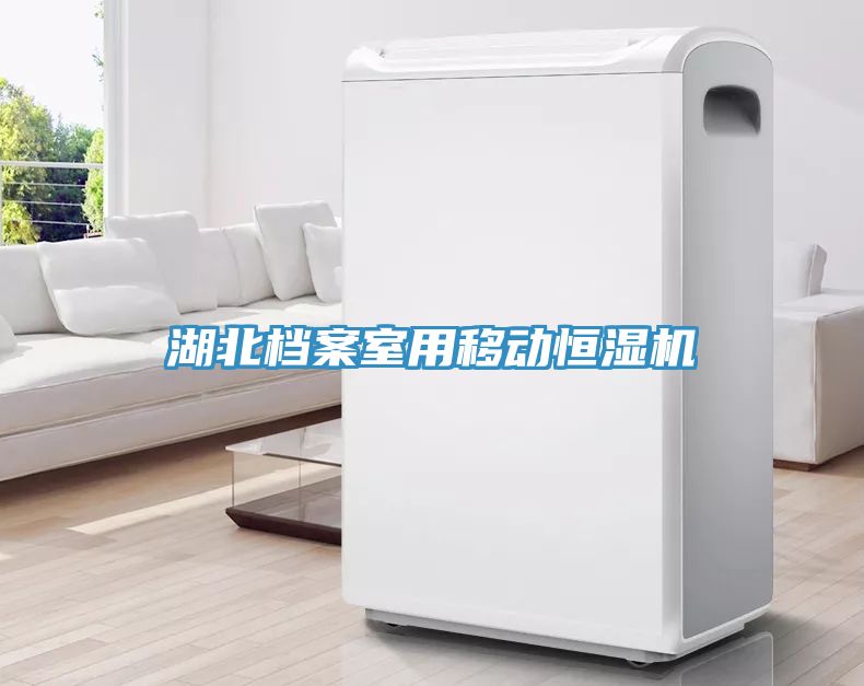 湖北檔案室用移動恒濕機