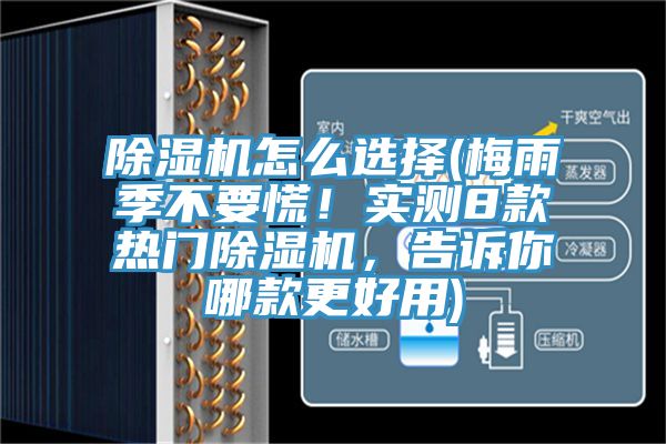 除濕機(jī)怎么選擇(梅雨季不要慌！實(shí)測(cè)8款熱門(mén)除濕機(jī)，告訴你哪款更好用)